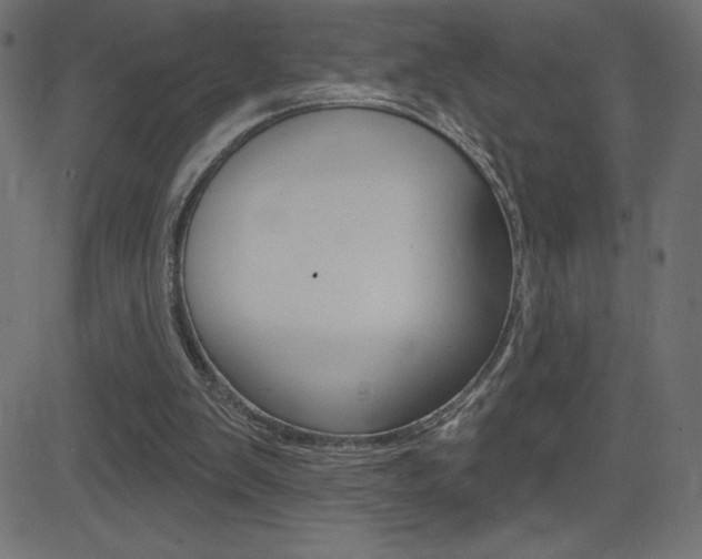 X0000081620103200701151105