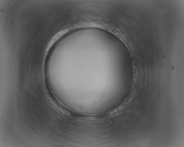X0000081620104200701151105