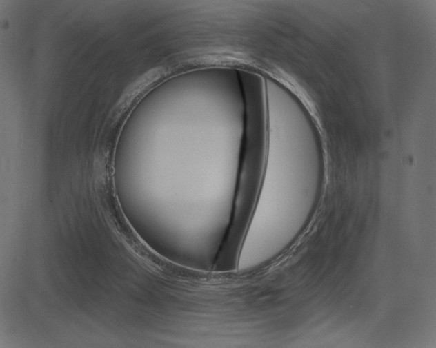 X0000081620105200701151105