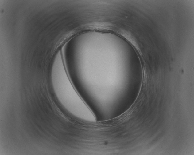 X0000081620109200701151105