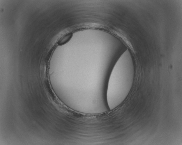 X0000081620110200701151105