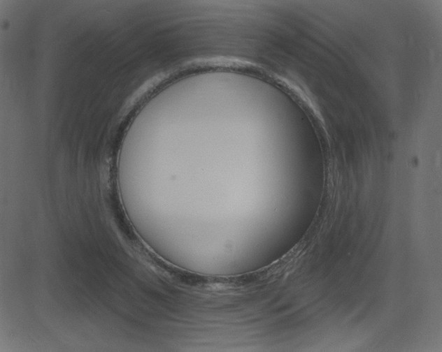 X0000081620111200701151105