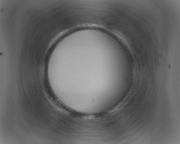 X0000081620112200701151105