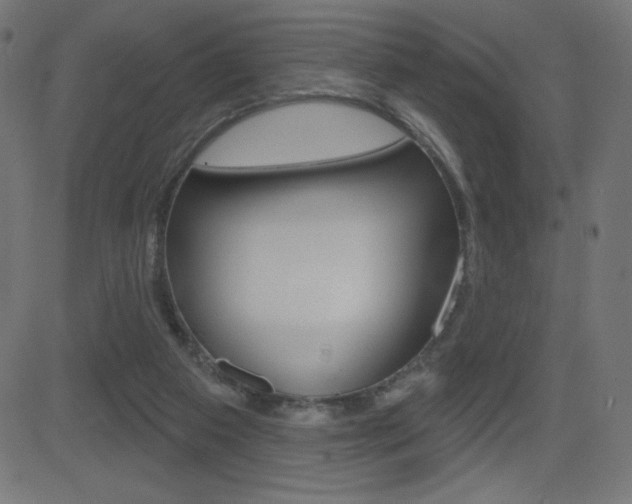 X0000081620113200701151105