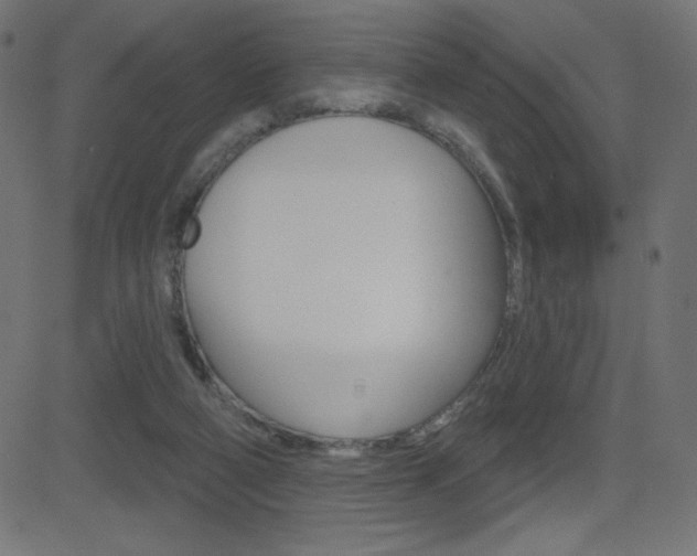 X0000081620114200701151104