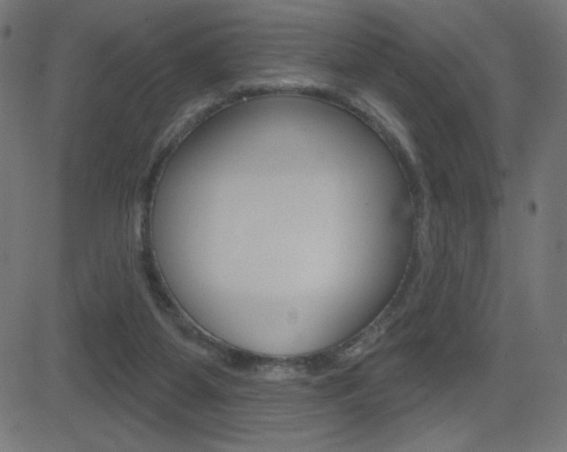 X0000081620115200701151104