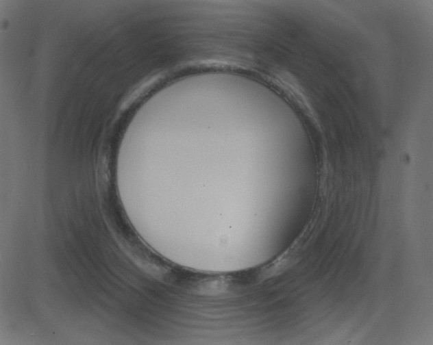 X0000081620116200701151104