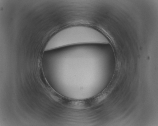 X0000081620117200701151104