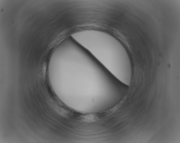 X0000081620118200701151104
