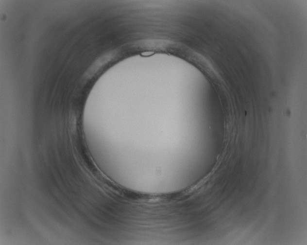 X0000081620120200701151104