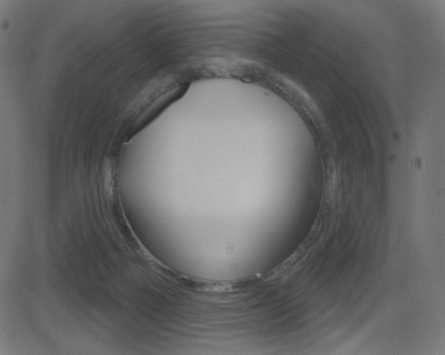 X0000081620121200701151104