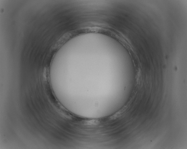 X0000081620122200701151104