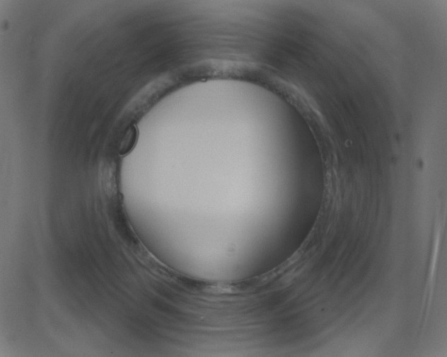 X0000081620123200701151104