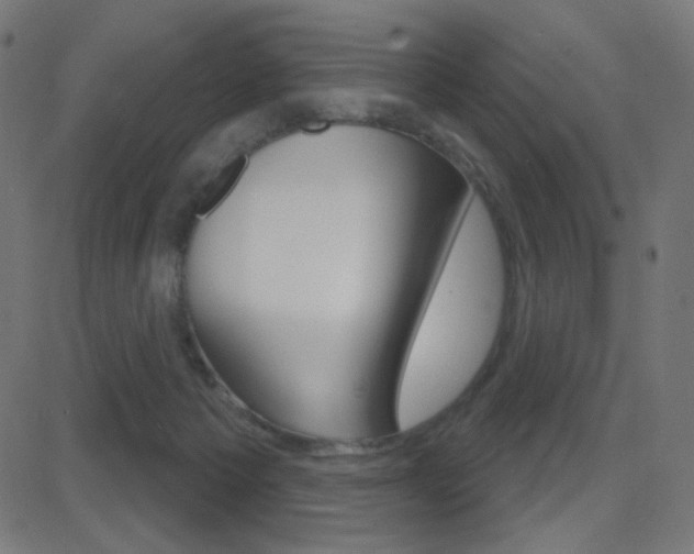 X0000081620125200701151104