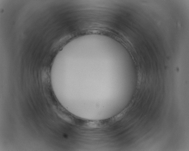 X0000081620126200701151104