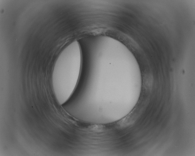 X0000081620128200701151104