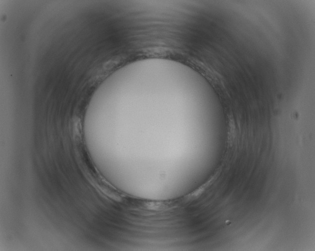 X0000081620130200701151104