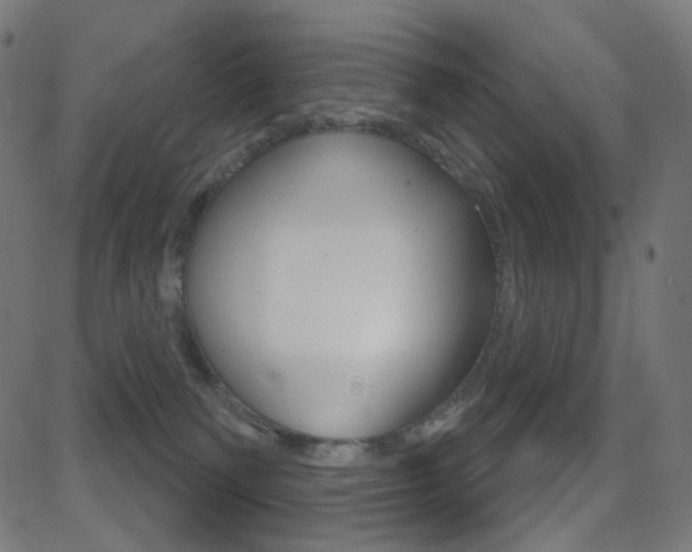 X0000081620135200701151104