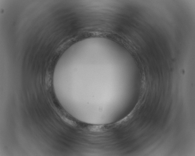 X0000081620136200701151104