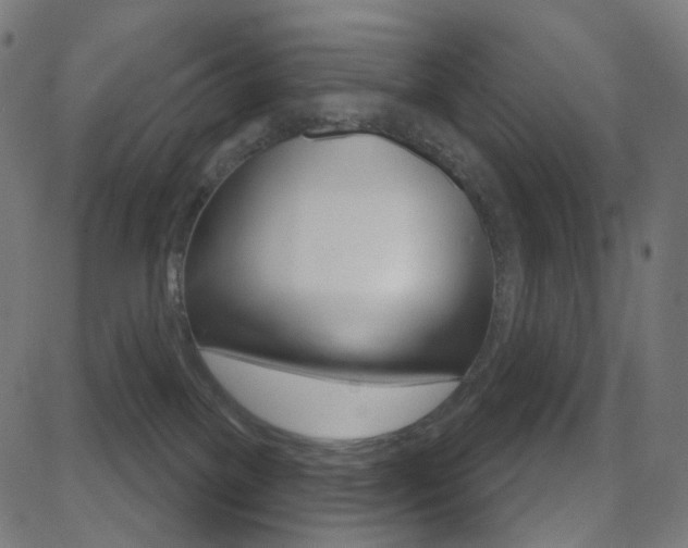 X0000081620137200701151104