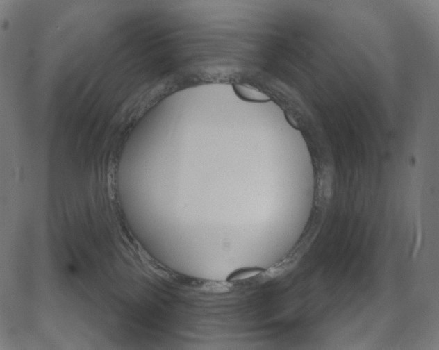 X0000081620138200701151104