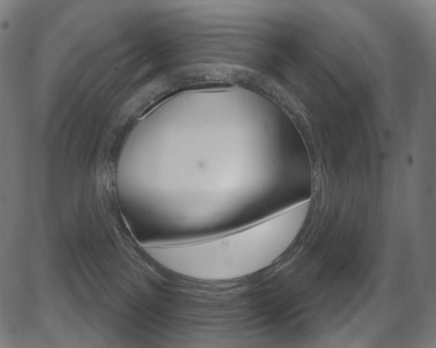 X0000081620141200701151104