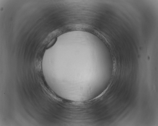 X0000081620142200701151104