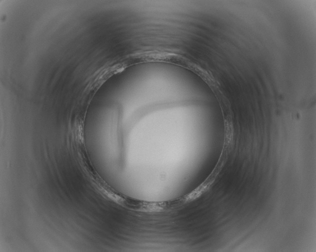 X0000081620143200701151104