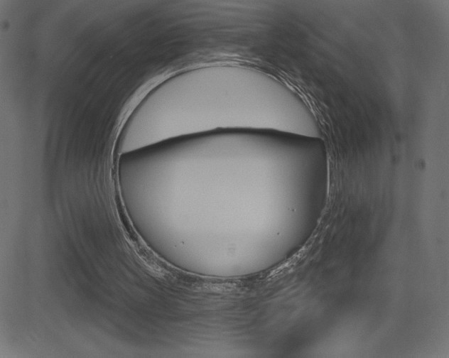 X0000081620147200701151103