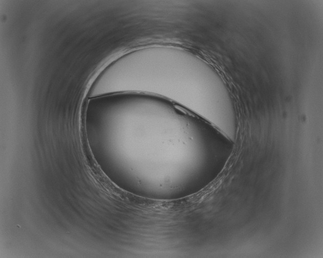 X0000081620148200701151103