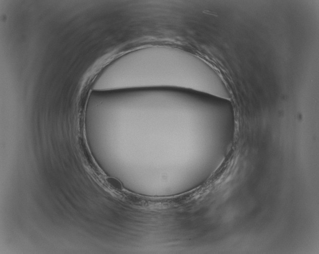 X0000081620149200701151103