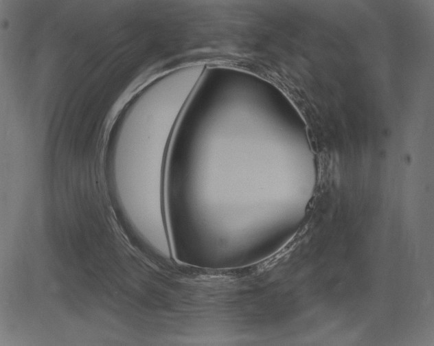 X0000081620150200701151103