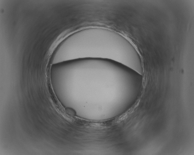 X0000081620151200701151103