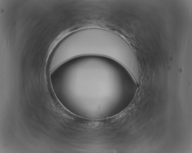 X0000081620152200701151103