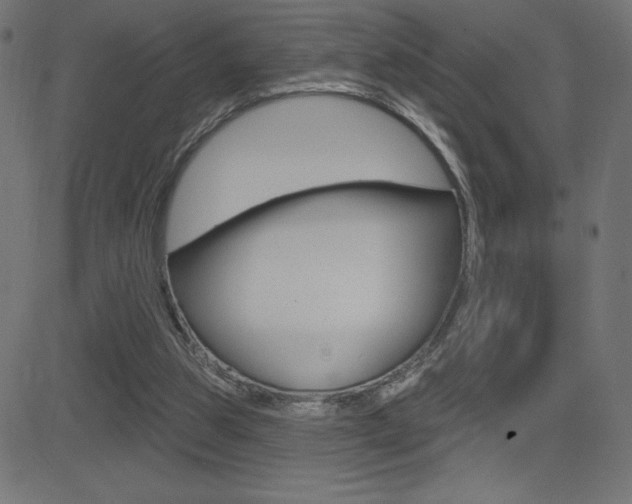 X0000081620153200701151103