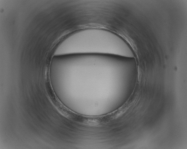 X0000081620157200701151103
