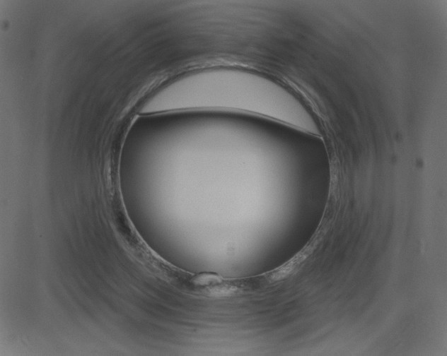 X0000081620158200701151103