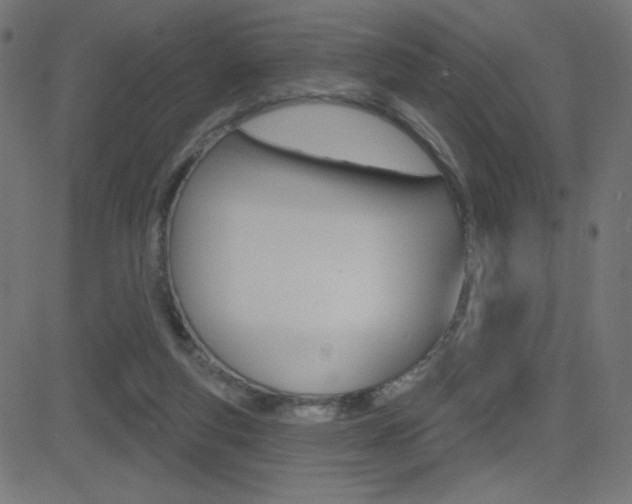 X0000081620163200701151103