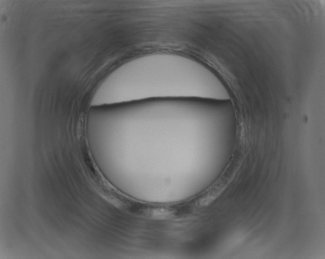 X0000081620165200701151104