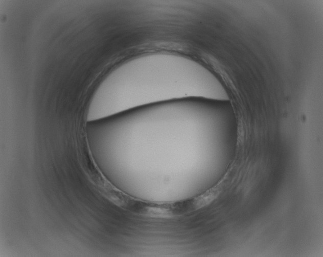 X0000081620167200701151104