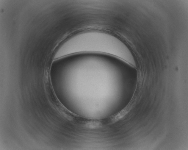 X0000081620168200701151104