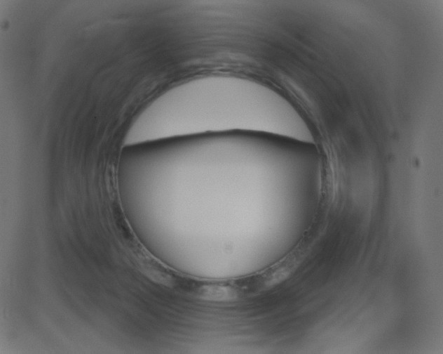 X0000081620169200701151104