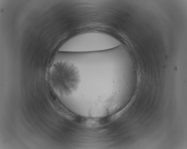 X0000081620171200701151104