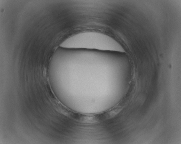 X0000081620173200701151104