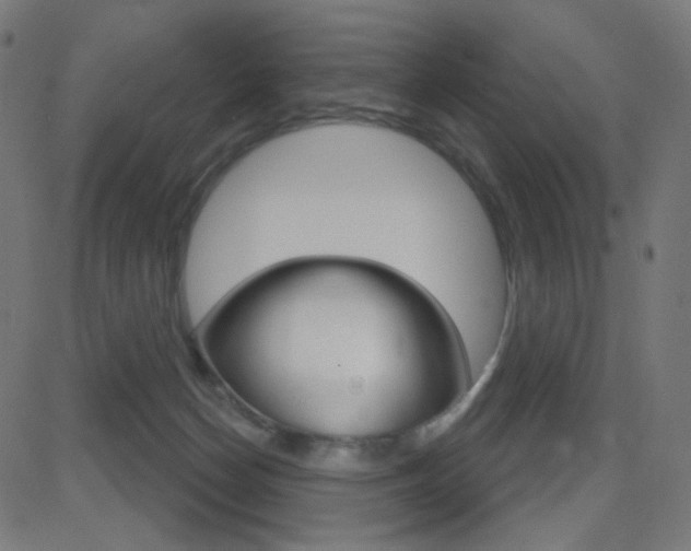 X0000081620174200701151104