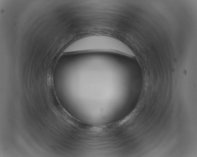 X0000081620176200701151104