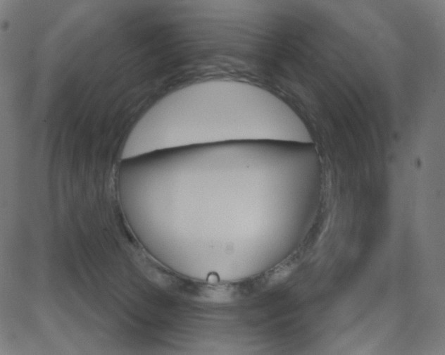 X0000081620177200701151104