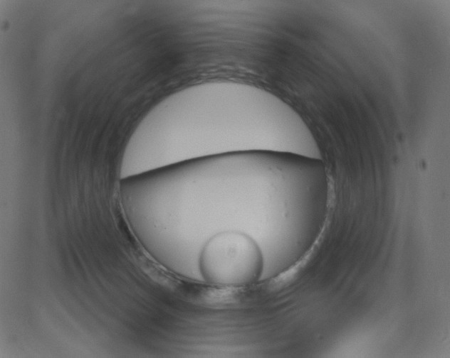 X0000081620178200701151104