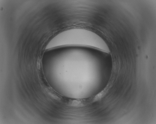 X0000081620180200701151104