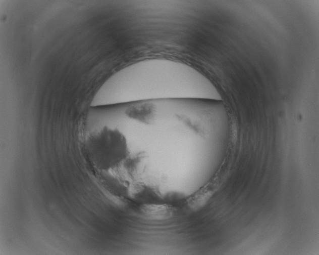 X0000081620181200701151104